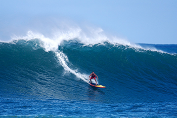Hawaii Wave Surfer